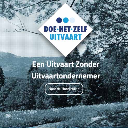 DHZ
